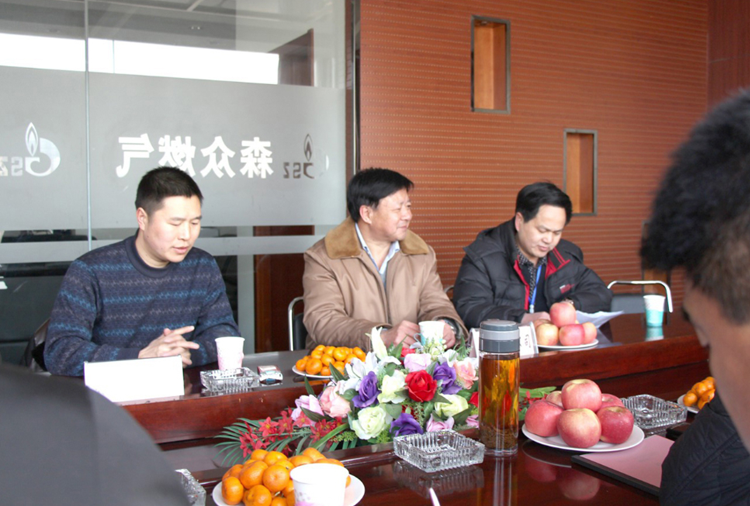 林口县政府与吉林俊睿旅游地接服务有限公司燃气项目洽谈.png